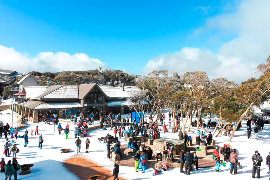 From Melbourne: Mount Buller Guided Day Tour - Arrival around 10:00 AM: national park views and a guided start