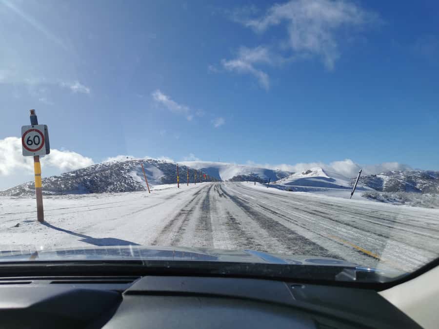 From Melbourne: Mount Buller Guided Day Tour - Meeting at 15 Queen Street and meeting your guide (Shaun)
