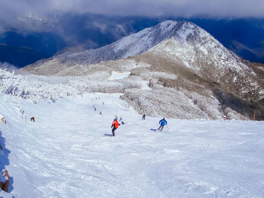 From Melbourne: Mt Buller Scenic Snow Getaway Day Tour - Mount Buller arrival: resort entry and getting set up fast