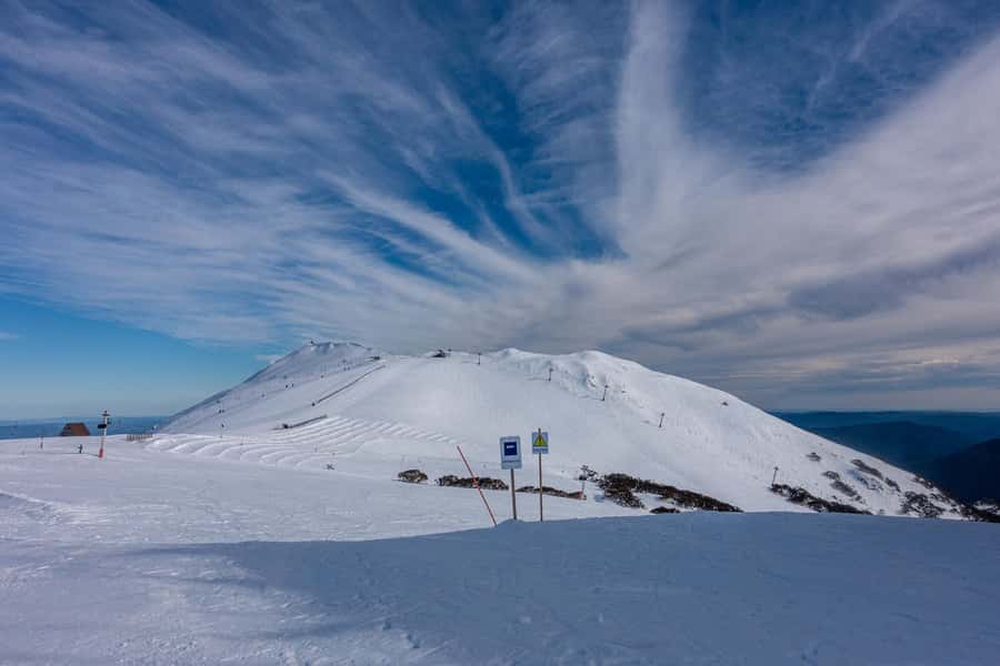From Melbourne: Mt Buller Scenic Snow Getaway Day Tour - Weather and realistic expectations on snow days