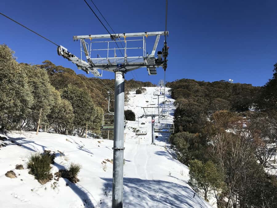 From Melbourne: Mt Buller Snow Day Small Group Boutique Tour - Lunch in the Swiss-style Mt Buller village: plan for meals on your own