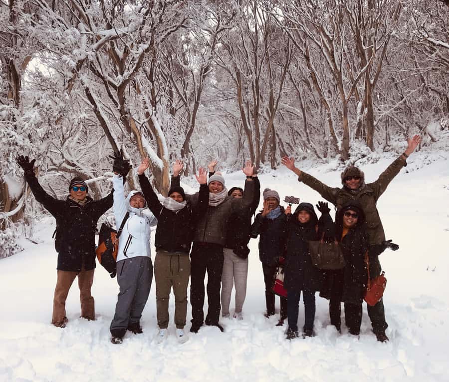 From Melbourne: Mt Buller Snow Day Small Group Boutique Tour - What the $116 price really buys you (and what costs extra)