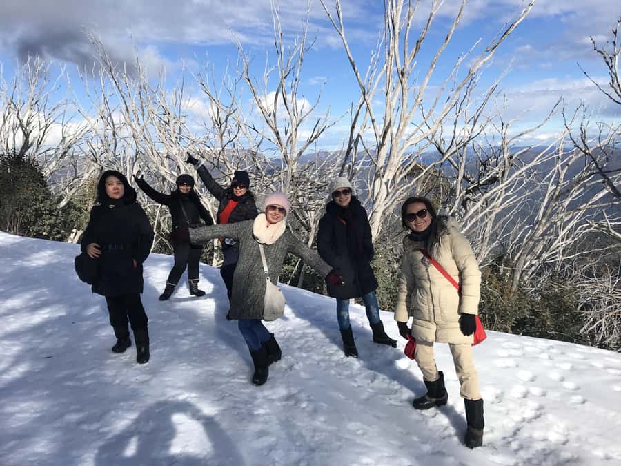 From Melbourne: Mt Buller Snow Day Small Group Boutique Tour - Getting from Melbourne: the early St Paul’s start (and why it helps)