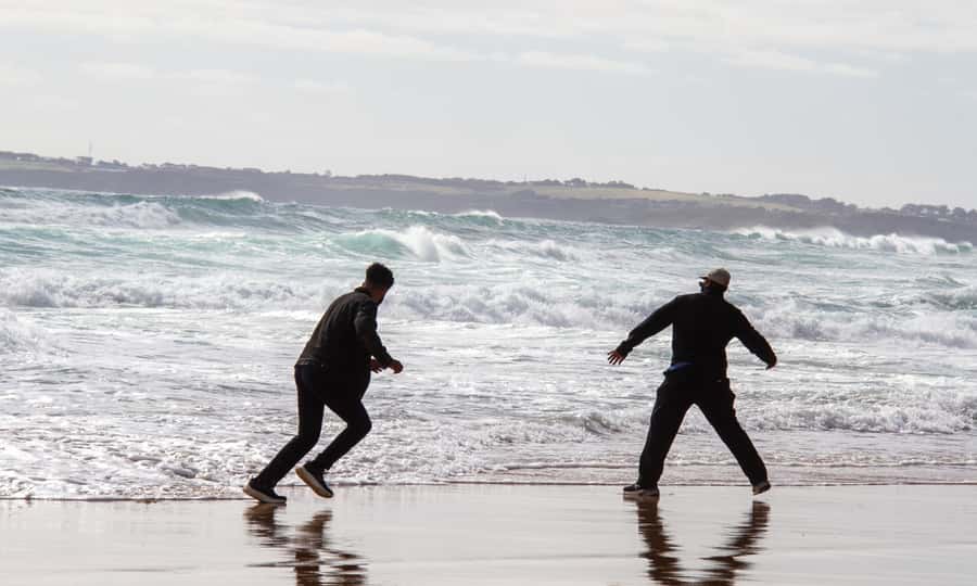 From Melbourne: Penguin Parade Afternoon Tour - Guides are the difference between seeing wildlife and understanding it