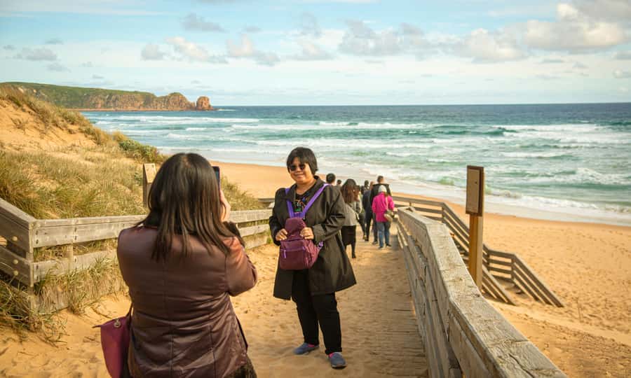 From Melbourne: Penguin Parade Afternoon Tour - Who this tour is best for