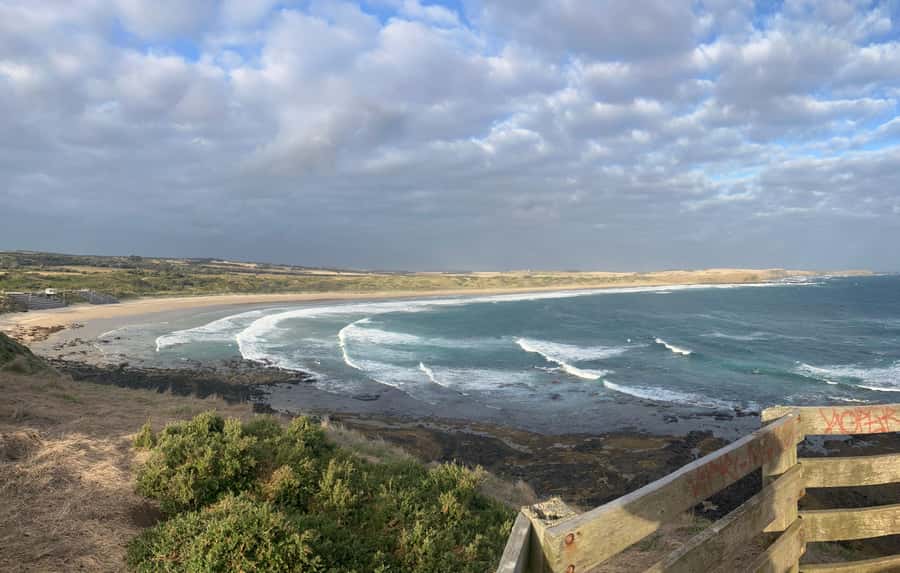 From Melbourne: Phillip Is Penguin Parade & Koala Reserve - Guides, pacing, and small comfort wins