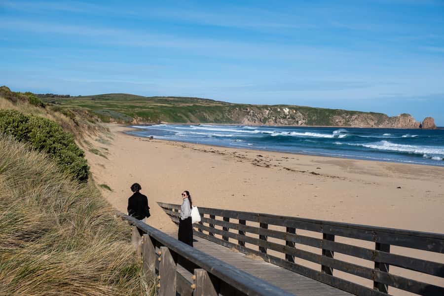 From Melbourne: Phillip Island and Penguin Parade Day Tour - Small rules that matter: who this tour works for