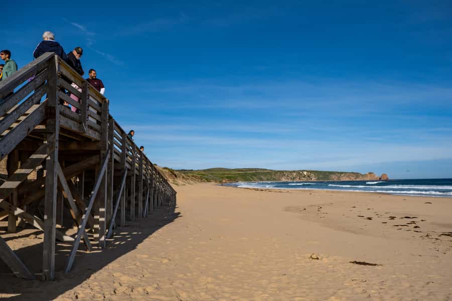 From Melbourne: Phillip Island and Penguin Parade Day Tour - Summerland Beach at the Penguin Parade: the calm magic of sunset