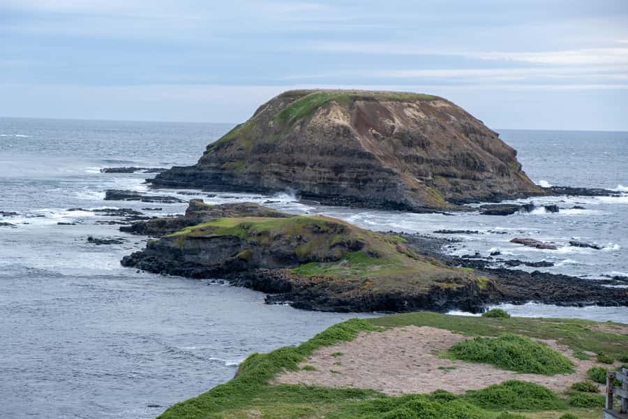 From Melbourne: Phillip Island and Penguin Parade Day Tour - Value check: is $102 worth it for a Melbourne day trip?