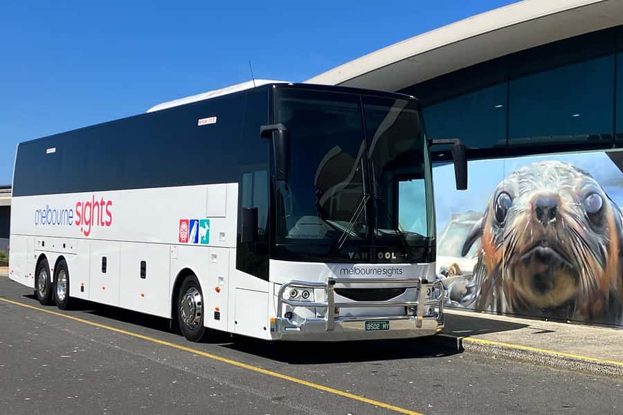 From Melbourne: Phillip Island Penguin Parade Express Tour - Premium viewing and seat strategy: getting close without losing the rules