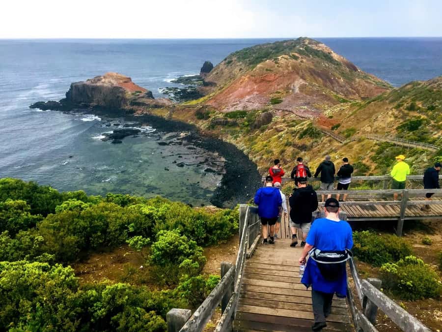 From Melbourne: Phillip Island Penguin Parade Private Tour - Moonlit Sanctuary and the Night-Wildlife Build-Up