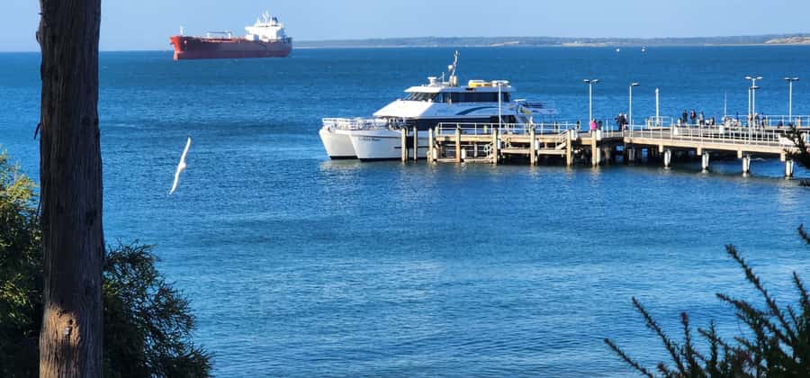 From Melbourne: Phillip Island Penguin Parade Private Tour - Coastal Adventures and Time to Breathe