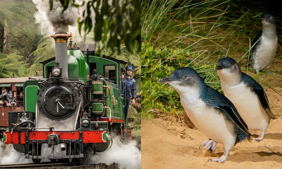 From Melbourne: Puffing Billy & Penguins Combo Tour Package - The steam-rail morning: Belgrave to Lakeside on Puffing Billy