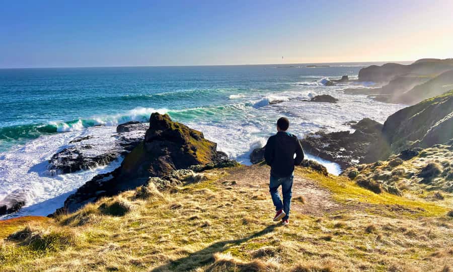 From Melbourne: Puffing Billy & Penguins Combo Tour Package - Nobbies boardwalks: ocean views before the penguins