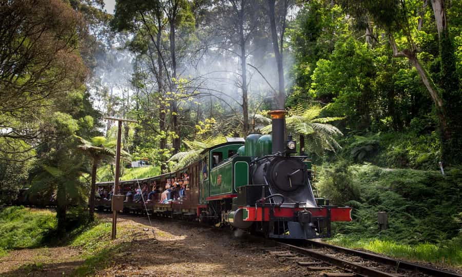From Melbourne: Puffing Billy & Penguins Combo Tour Package - Guides, audio in 16 languages, and that small-group feel