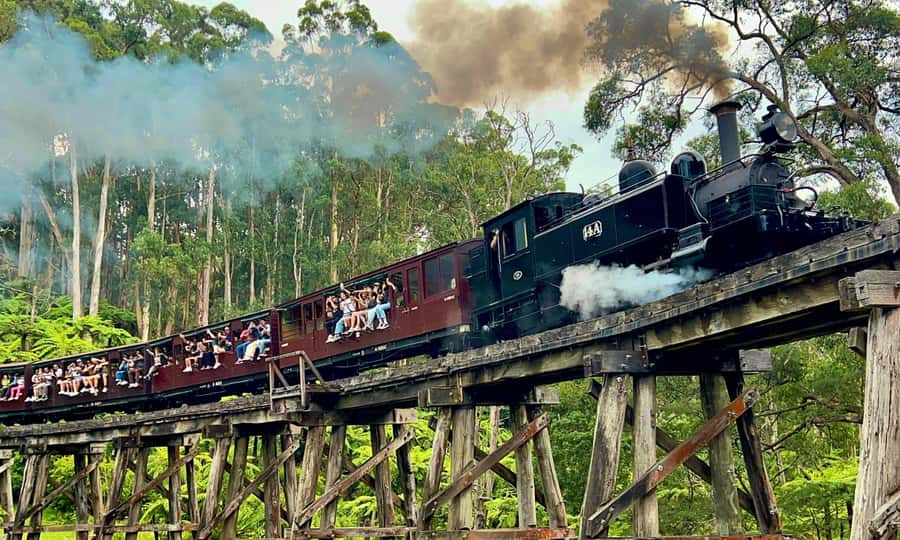 From Melbourne: Puffing Billy & Penguins Combo Tour Package - Melbourne pickup between 7:00 and 8:00 (and why it affects your plans)