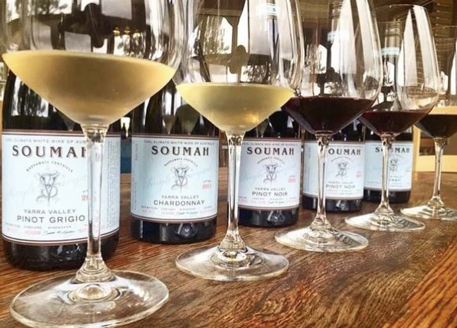 From Melbourne: Redwoods Forest & Yarra Valley Wine Tour - Key Tour Highlights at a Glance
