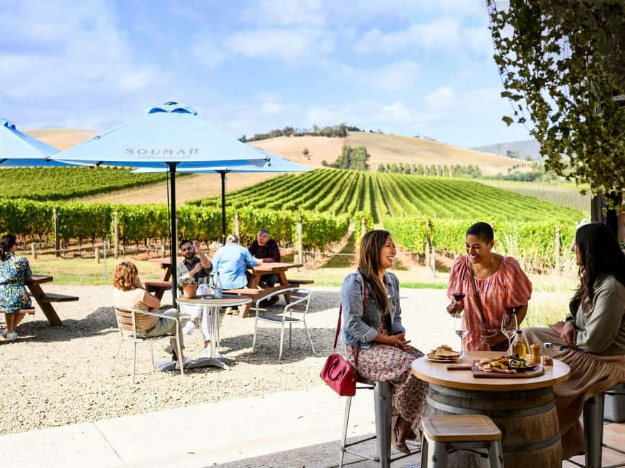 From Melbourne: Redwoods Forest & Yarra Valley Wine Tour - Getting Oriented: Where the Tour Starts and Why It Matters