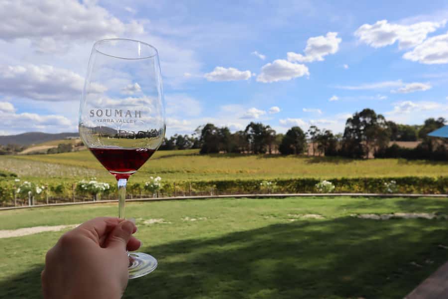From Melbourne: Redwoods Forest & Yarra Valley Wine Tour - Yarra Valley Chocolaterie: The Sweet Finish (30 Minutes)