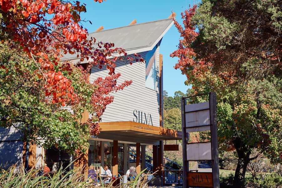 From Melbourne: Redwoods Forest & Yarra Valley Wine Tour - Timing and Pace: How the Day Feels from Start to Finish