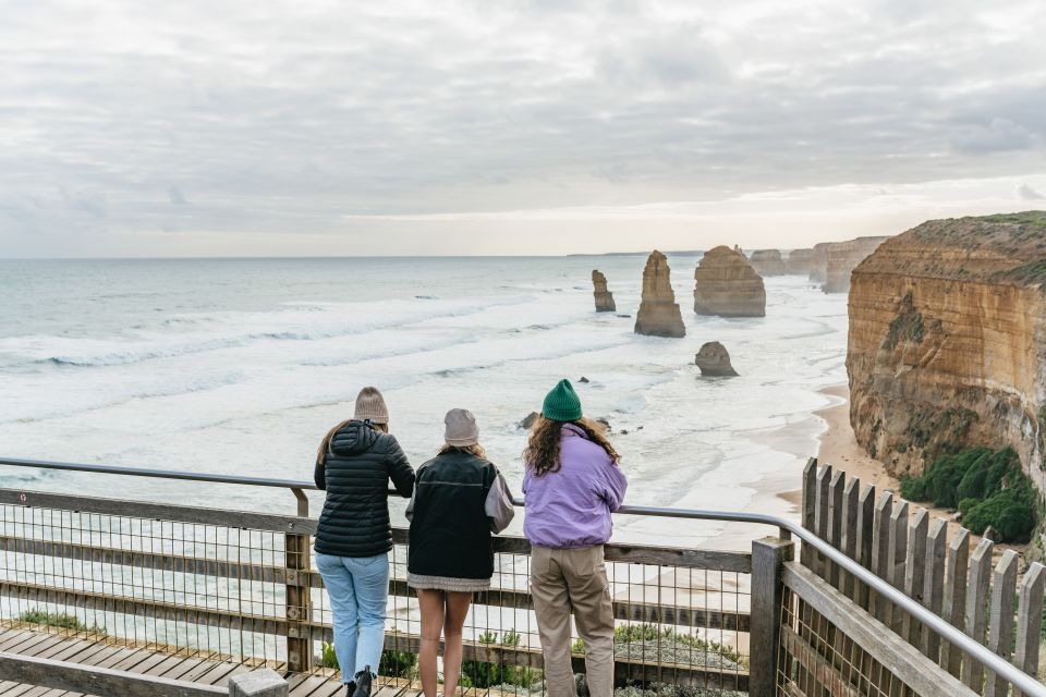 From Melbourne: Small-Group Great Ocean Road Day Trip - Koalas, kangaroos, and birds: wildlife spotting with a guide’s eyes