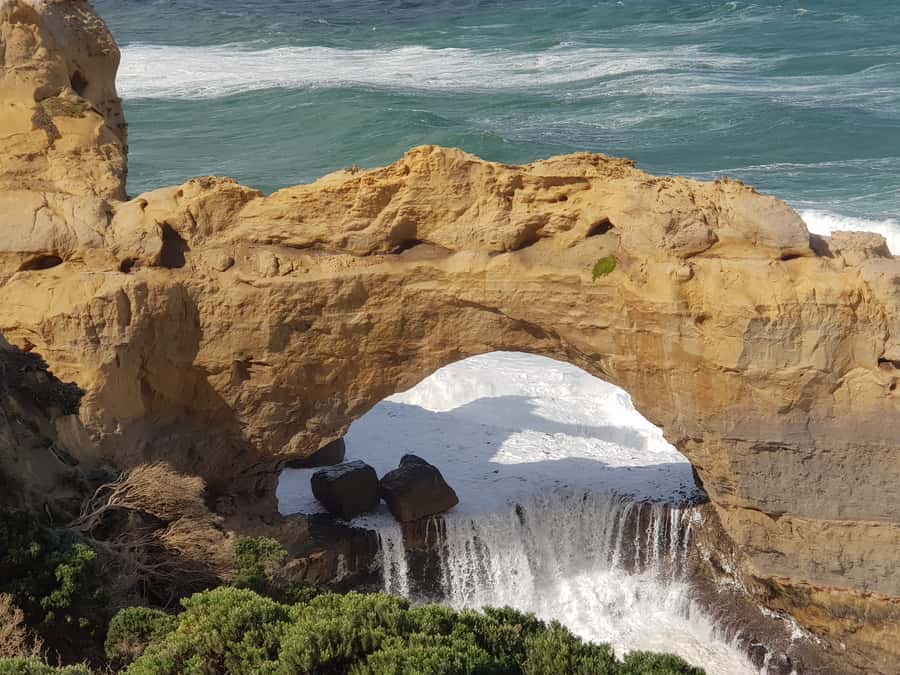 From Melbourne: Ultimate 2-Day Great Ocean Road Tour - Erskine Falls and Lorne Beach: waterfalls, lunch, and a cold-water reality check