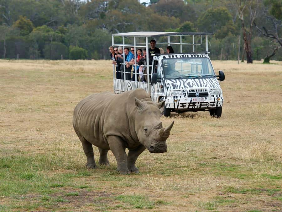 From Melbourne: Werribee Open Range Zoo & Werribee Mansion - Werribee Mansion: restored rooms, gardens, and estate stories