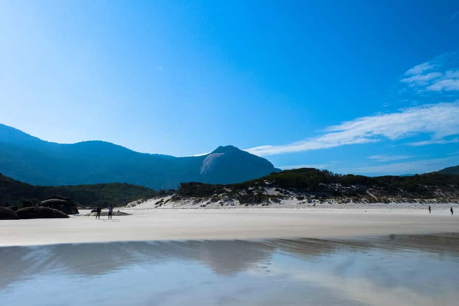 From Melbourne: Wilsons Promontory Small Group Day Tour - Who This Tour Suits Best (And Who Might Want a Different Style)