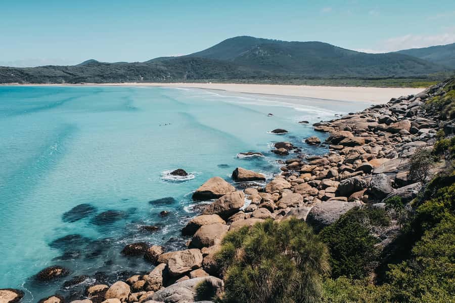From Melbourne: Wilsons Promontory Small Group Day Tour - Lunch Timing: General Store Stop and Snack Support