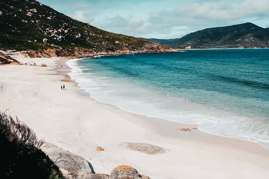 From Melbourne: Wilsons Promontory Small Group Day Tour - Mt Oberon Summit: The 7.8 km Return Hike for Coastline Views