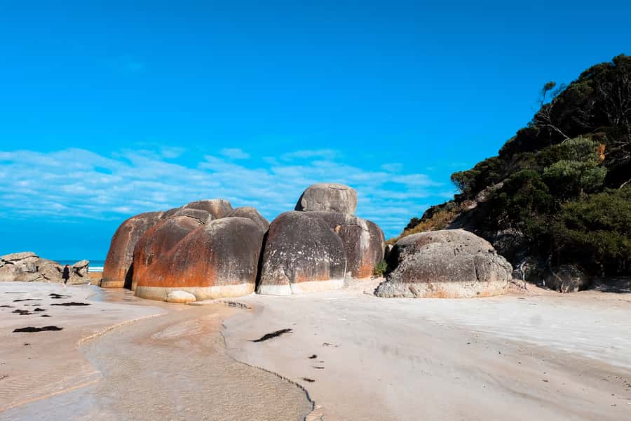 From Melbourne: Wilsons Promontory Small Group Day Tour - What’s Actually Included (and What You’ll Need to Pay For)