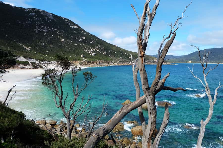 From Melbourne: Wilsons Promontory Small Group Day Tour - Price and Value: Is $155 Worth It?