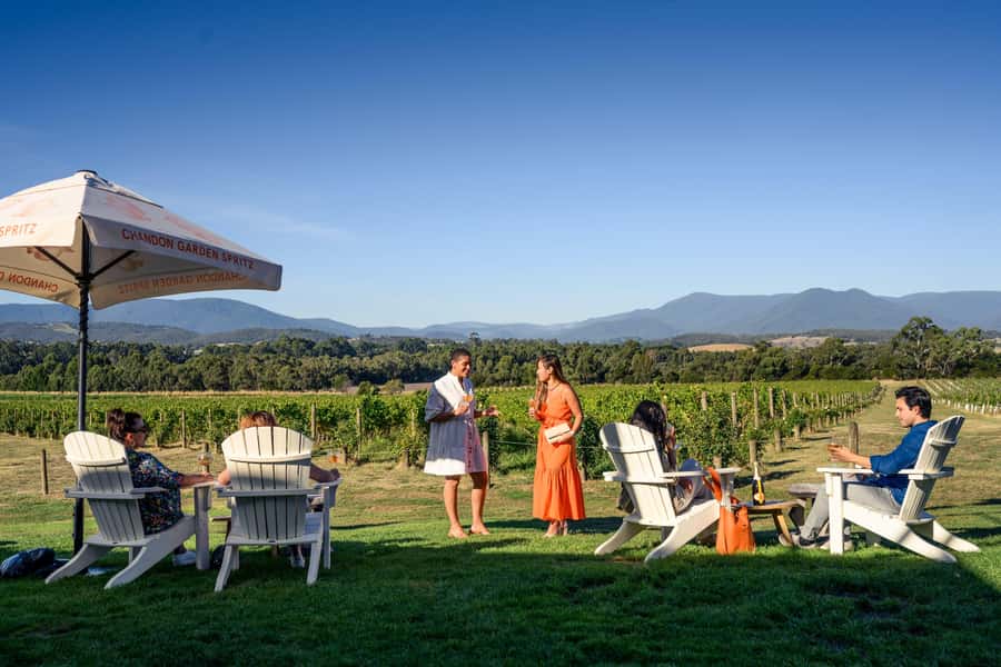 From Melbourne: Yarra Valley Hop-On-Hop-Off Bus Ticket - Who Should Book This Bus (and Who Might Need a Different Plan)
