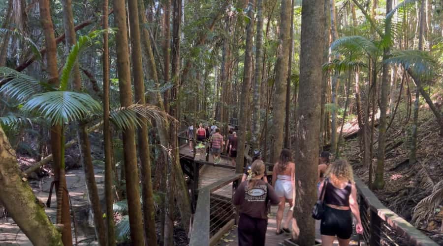 From Noosa: K'gari (Fraser Island) Small-Group Tour - Food, timing, and the reality of a “long day”
