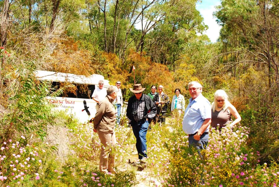 From Pemberton: Half-Day Beach and Forest Eco Adventure - Price and value: is $116 per person a fair deal?