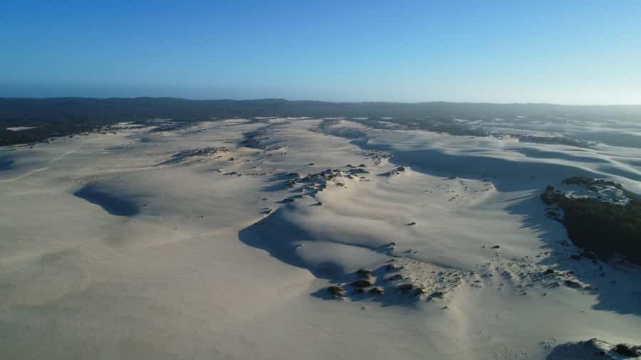 From Pemberton: Half-Day Beach and Forest Eco Adventure - Great Southern Ocean time: kite-flying, wildflowers, and nesting birds