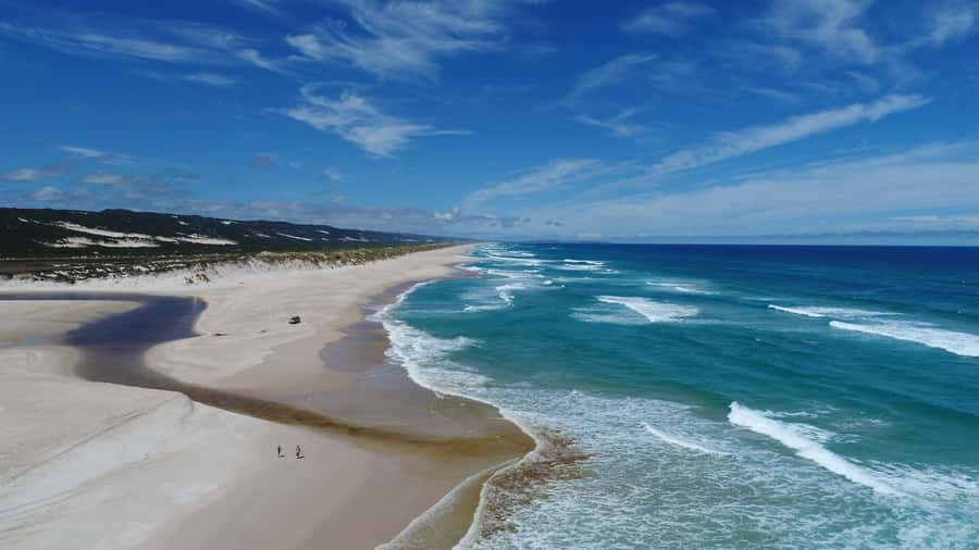 From Pemberton: Half-Day Beach and Forest Eco Adventure - Warren National Park’s karri giants: scale you feel in your bones