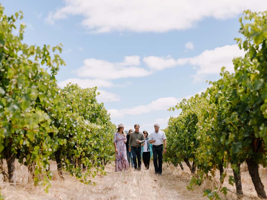 From Perth: 3-Day Margaret River Escape - What you’ll actually spend money on (and how to plan)