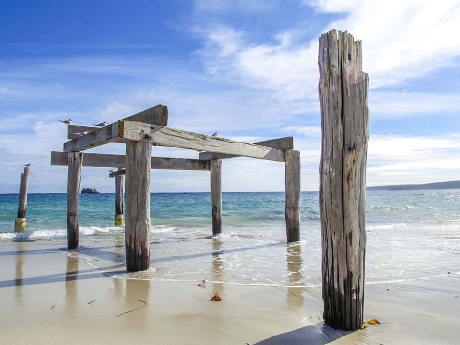 From Perth: 3-Day Margaret River Escape - The guide and group size: why it feels personal