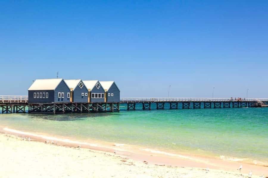 From Perth: Full-Day Margaret River Wine Tastings & Lunch - Key highlights worth caring about