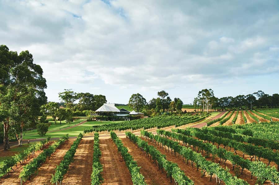 From Perth: Full-Day Margaret River Wine Tastings & Lunch - Gabriel’s Chocolate: bean-to-bar, plus the fun part—learning as you taste