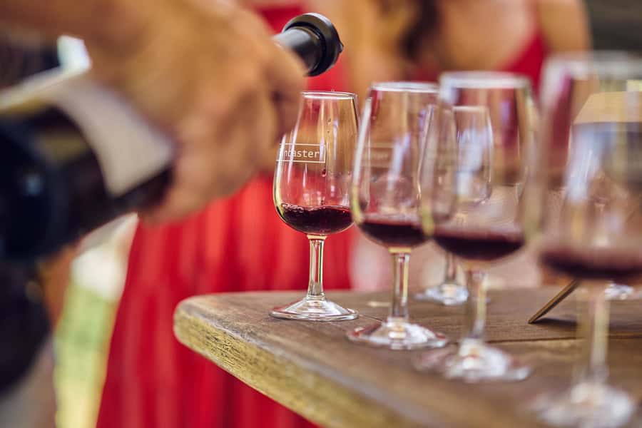 From Perth: Half-Day Tour to Swan Valley - Your five-stop tasting flow: wineries, cheese, chips, and microbrew