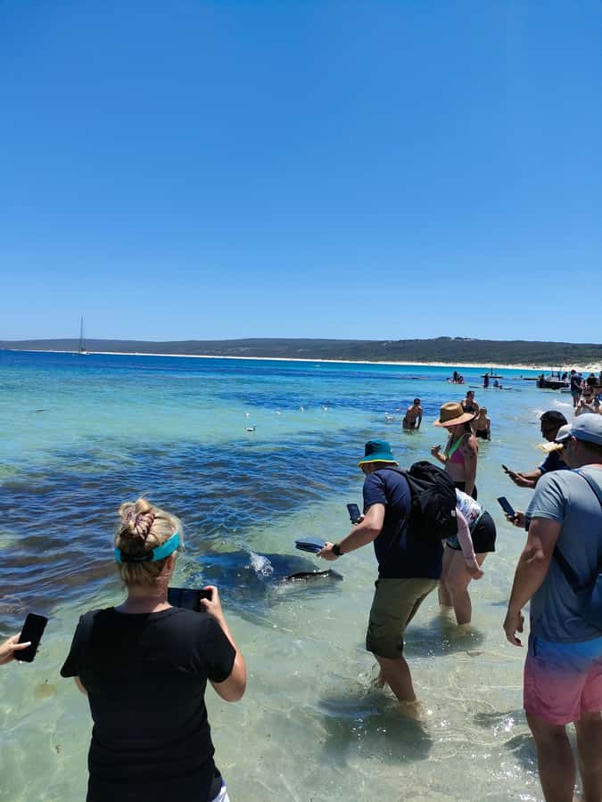 From Perth: Margaret River Region Impression Day Tour - Time on the Road: What a 12-Hour Schedule Feels Like
