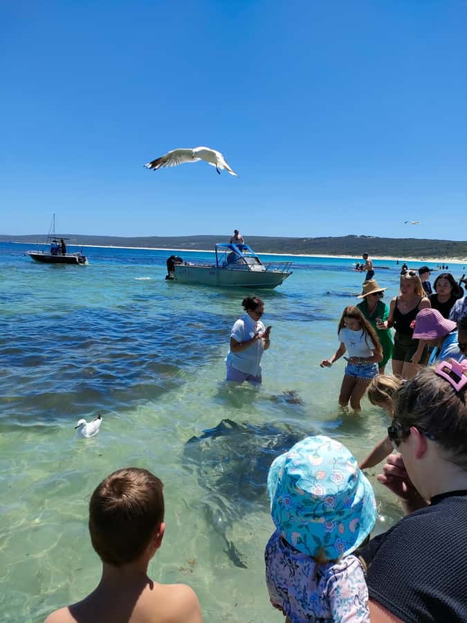 From Perth: Margaret River Region Impression Day Tour - Who This Tour Fits Best (And Who Might Feel Cramped)