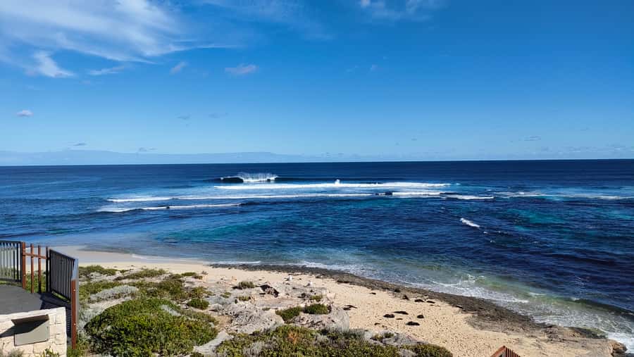 From Perth: Margaret River Region Impression Day Tour - Should You Book This Margaret River Day Trip?