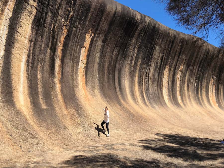 From Perth: Margaret River to Esperance 6-Day Tour - Key highlights worth marking on your map