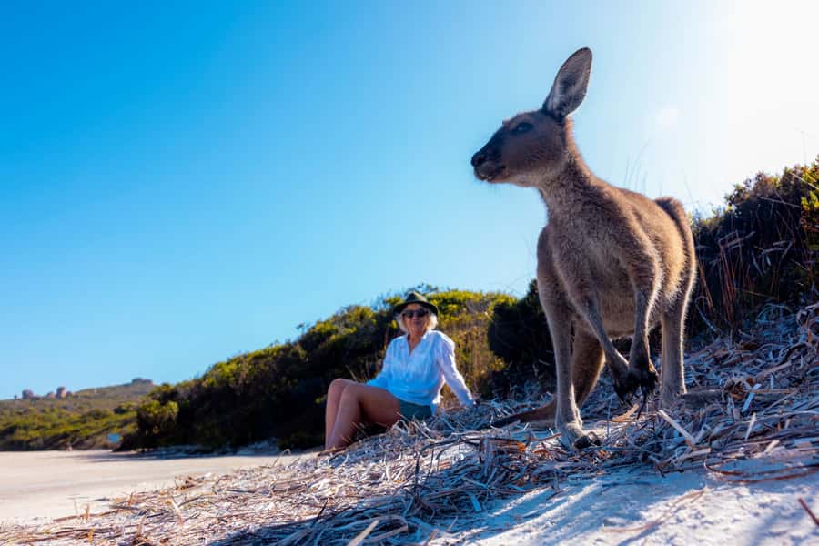 From Perth: Margaret River to Esperance 6-Day Tour - Day 5: Albany-area icons—Greens Pool, Elephant Rocks, karri forests, then Hamelin Bay