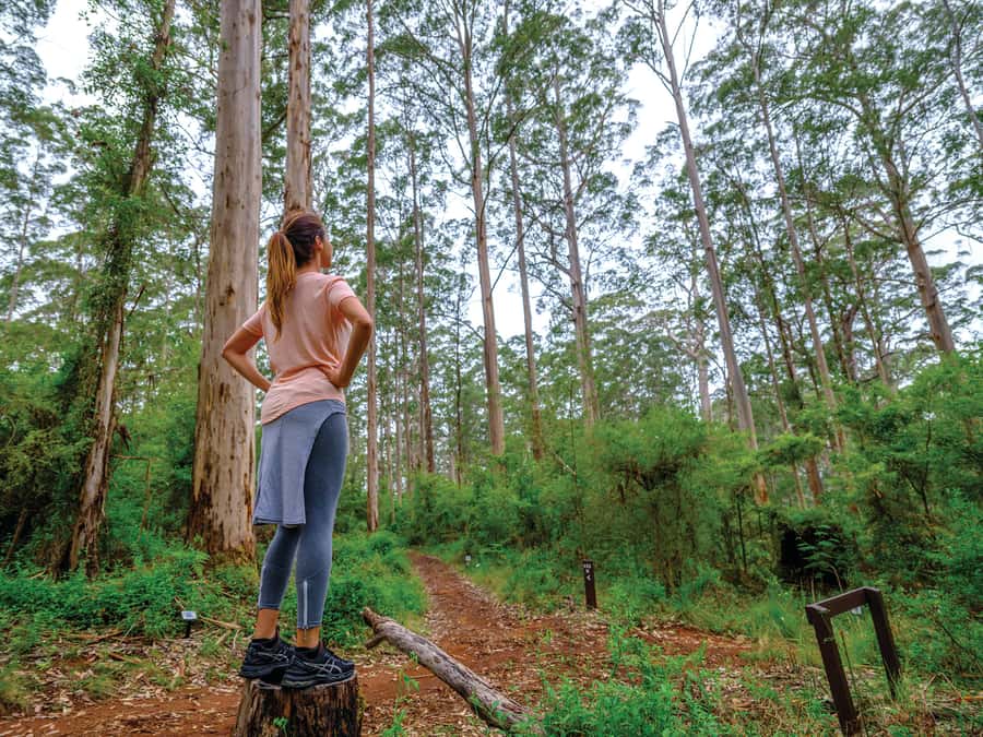 From Perth: Margaret River to Esperance 6-Day Tour - Swag camping reality check (what to expect and how to make it better)