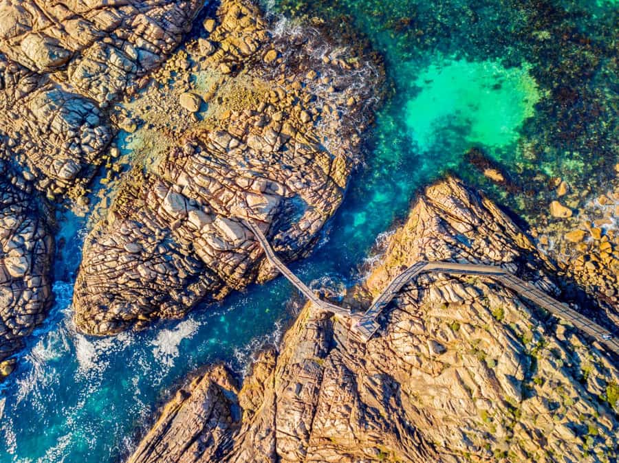 From Perth: Margaret River Wine Tour & Wildlife Cruise - Wine Tasting at a Margaret River Cellar Door (Plus Optional Beer)