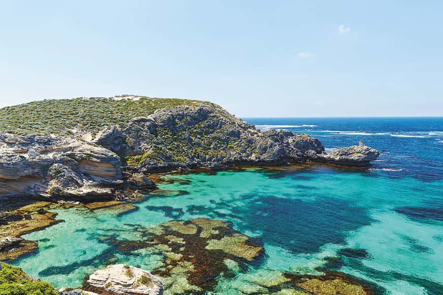 From Perth or Fremantle: Rottnest Explorer Segway Tour - Quokkas and free-time exploring: how to spend the afternoon well